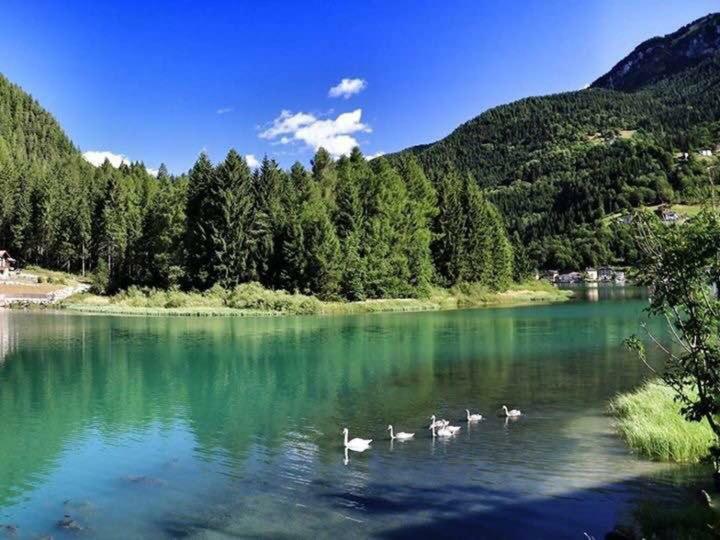 Appartamento Italia Alleghe Exterior photo